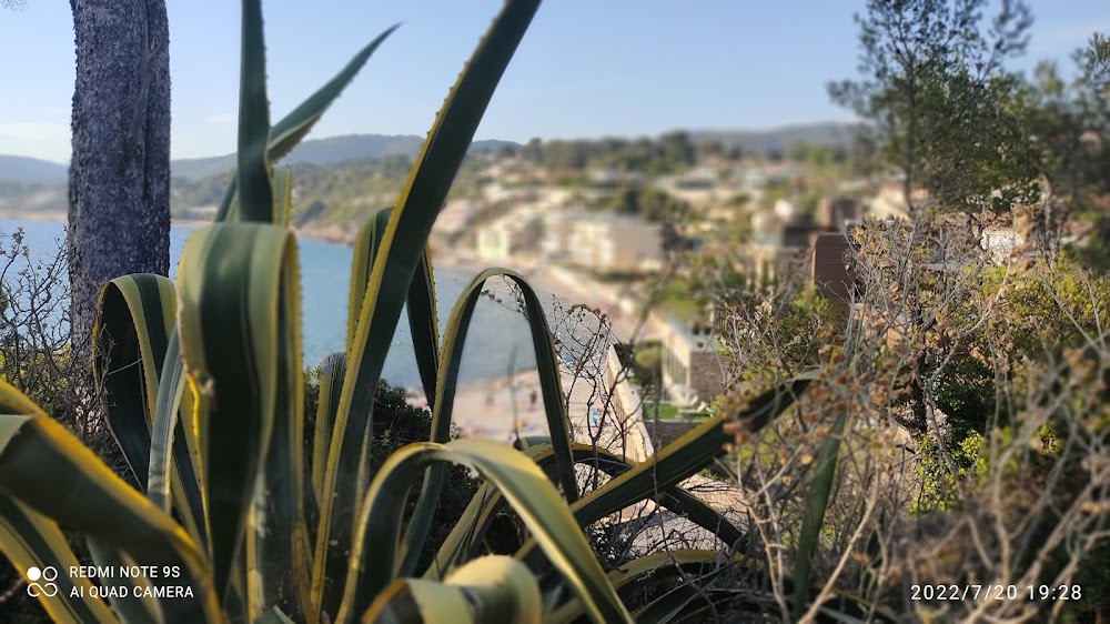 Plage de la Gorguette
