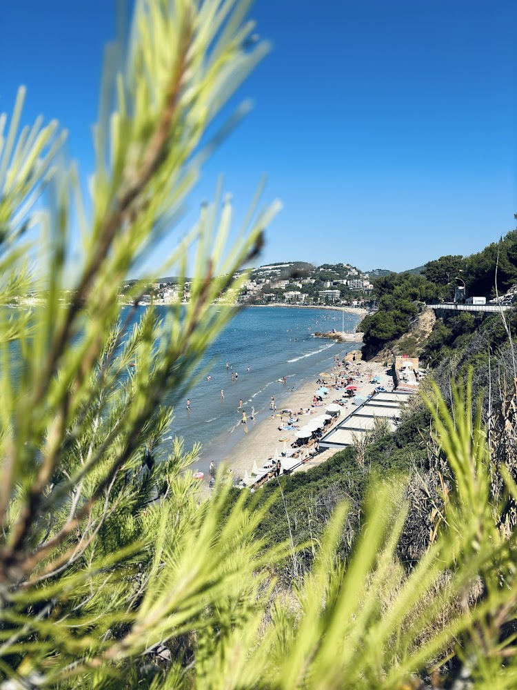 Plage Dorée