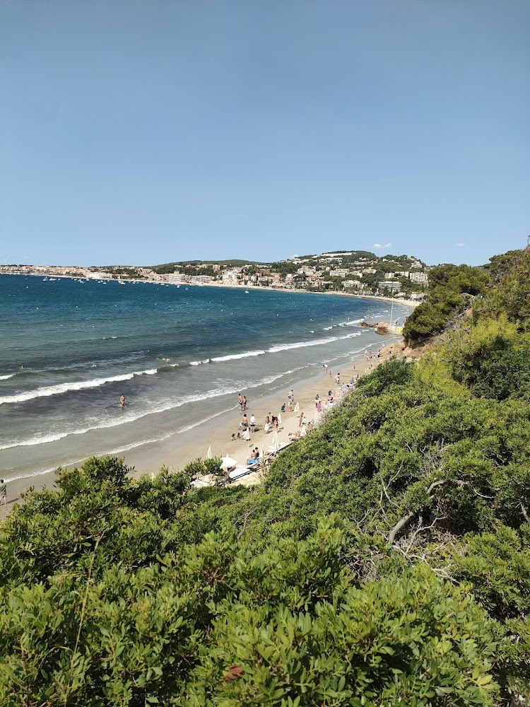 Plage Dorée