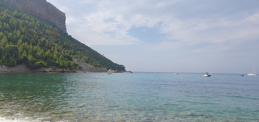 Plage de l’Arène