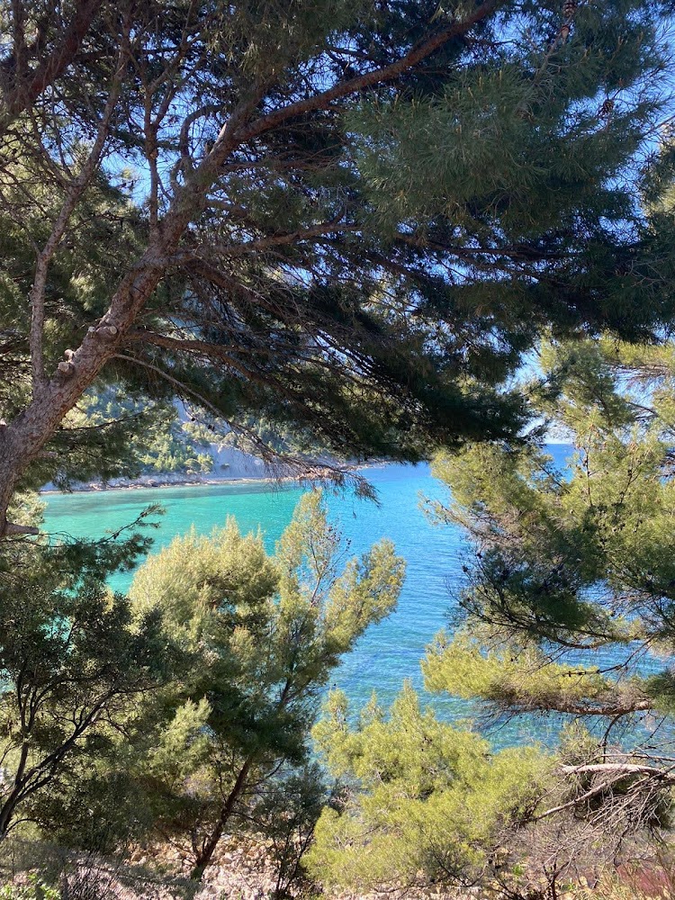 Plage de l’Arène