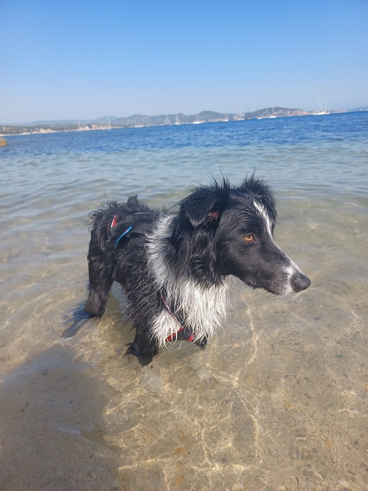 Plage des Capucins
