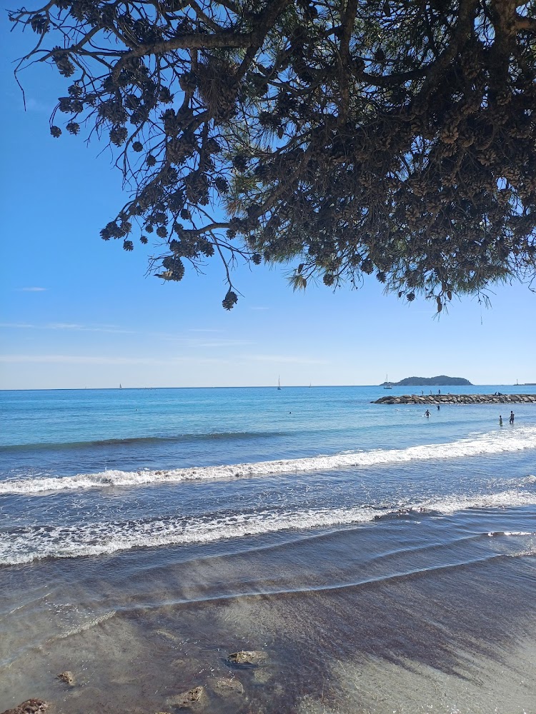 Plage Lumière