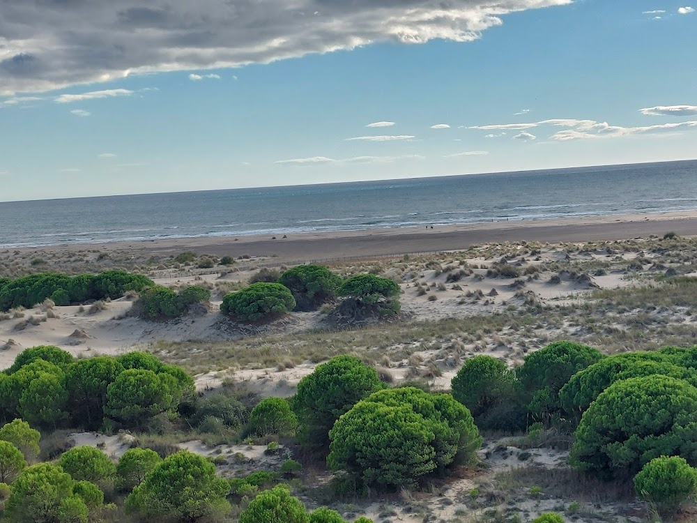 Plage de l’Espiguette