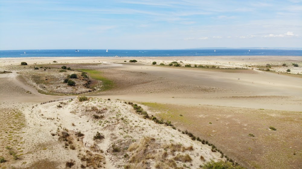 Plage de l’Espiguette