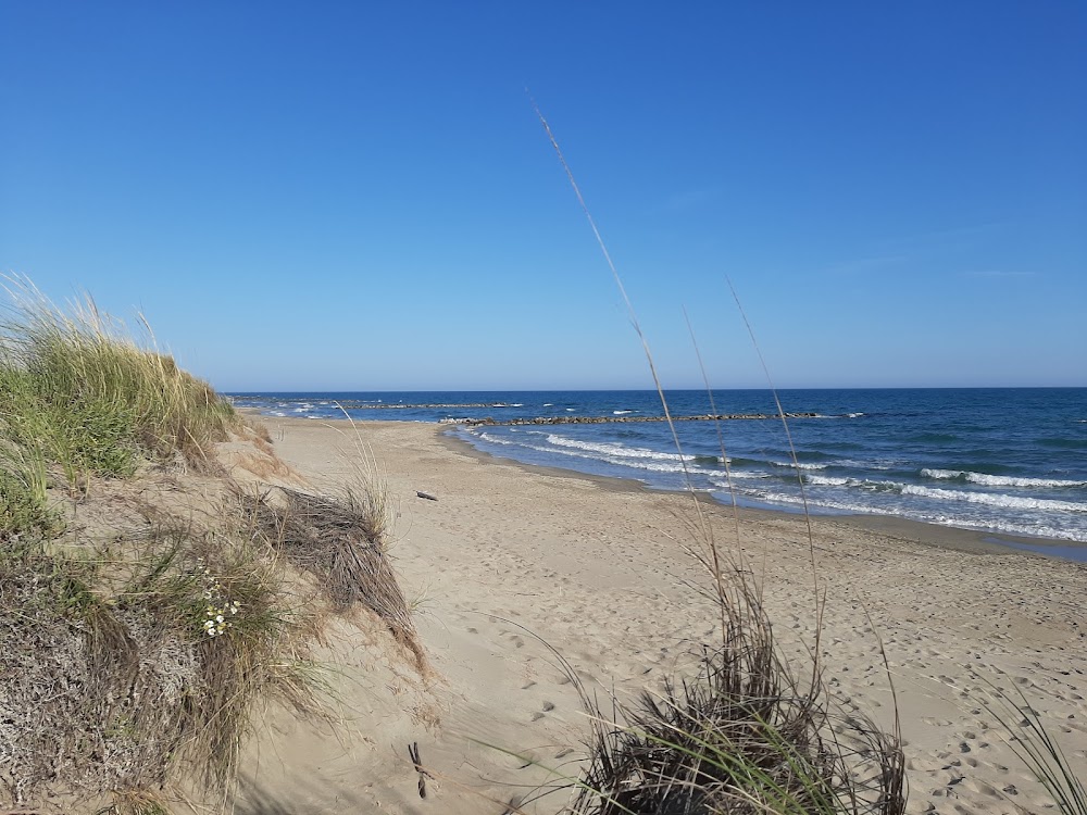 Plage de l’Espiguette