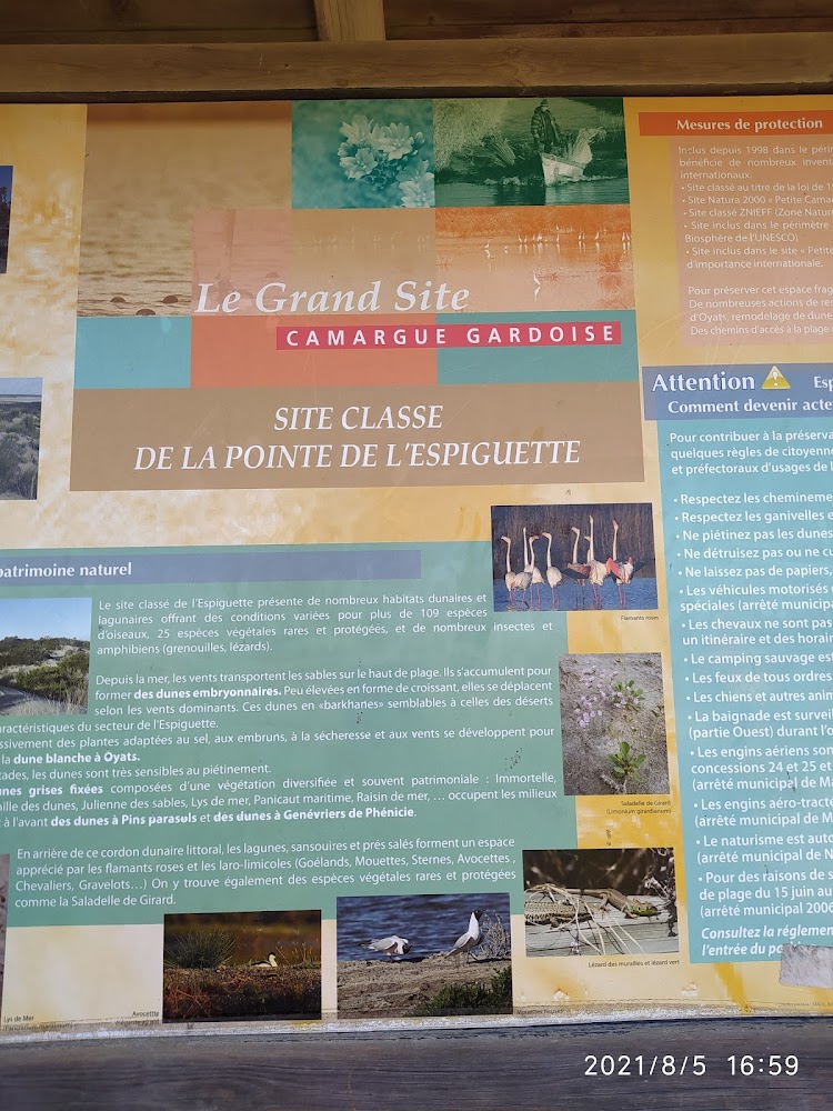 Plage de l’Espiguette