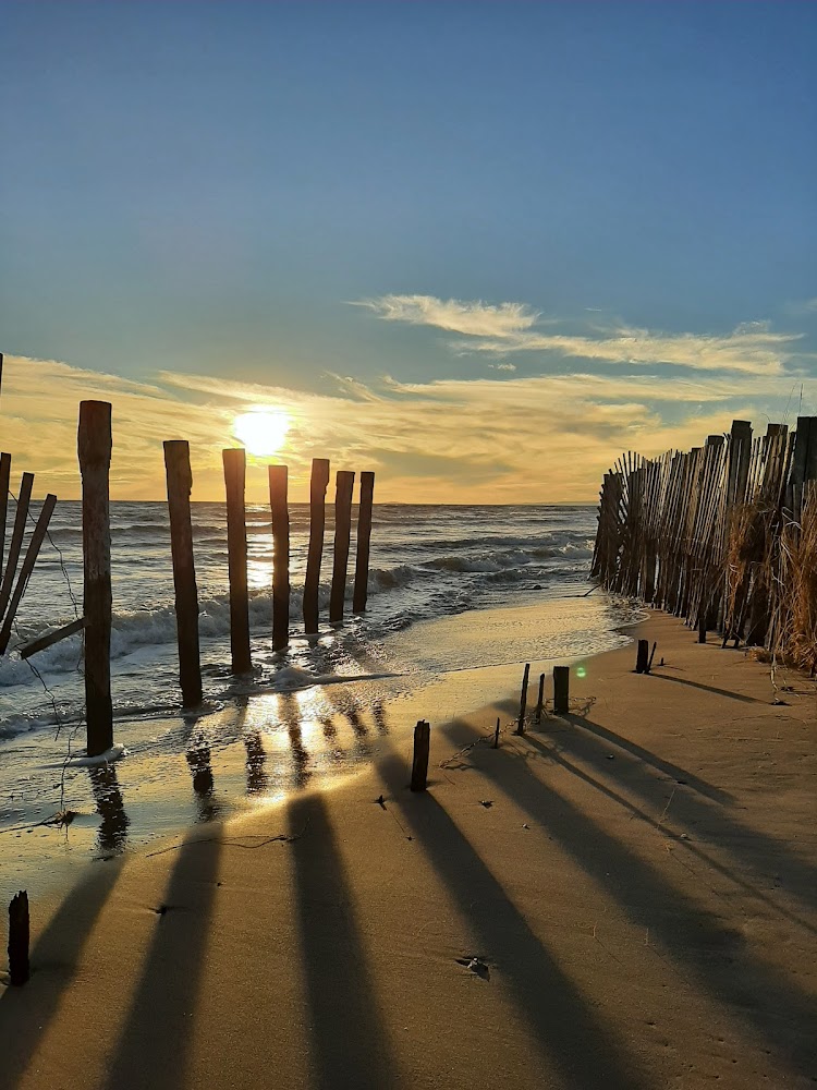 Plage de l’Espiguette