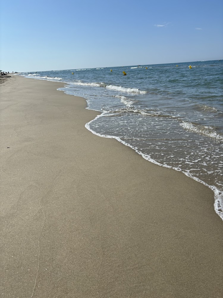 Plage de l’Espiguette
