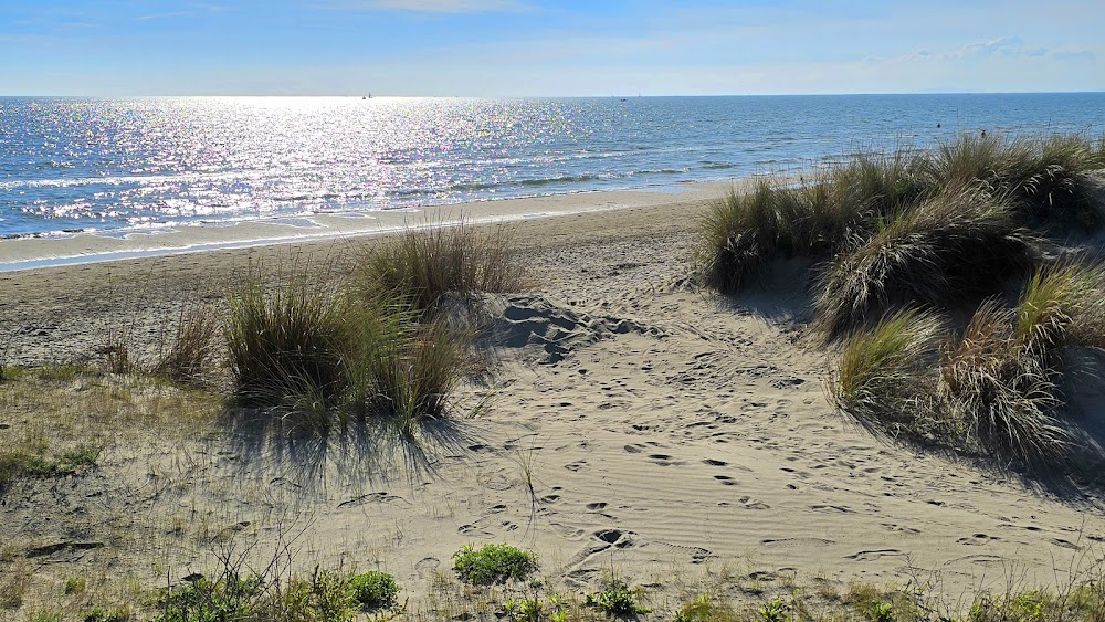 Plage du Grand Travers
