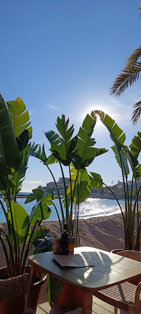 Miami plage