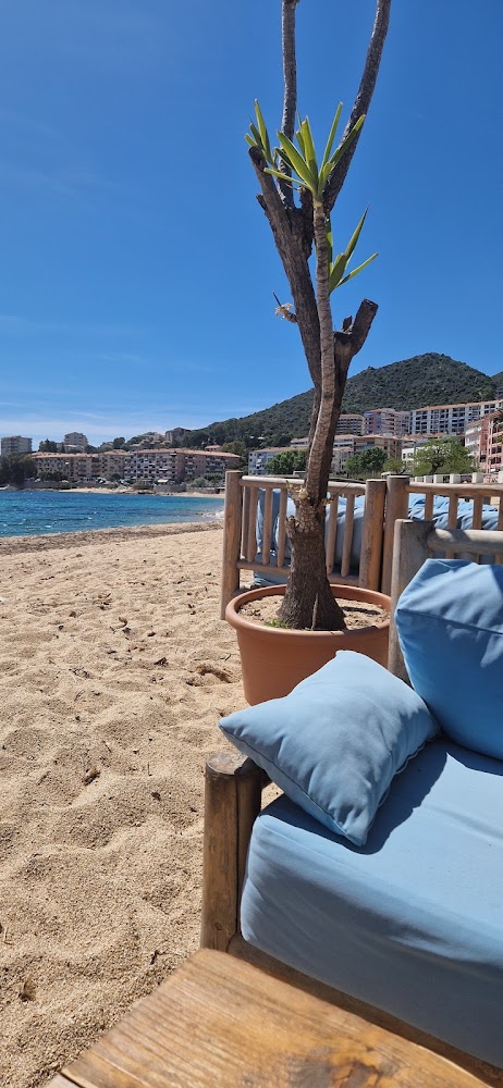 Plage Trottel