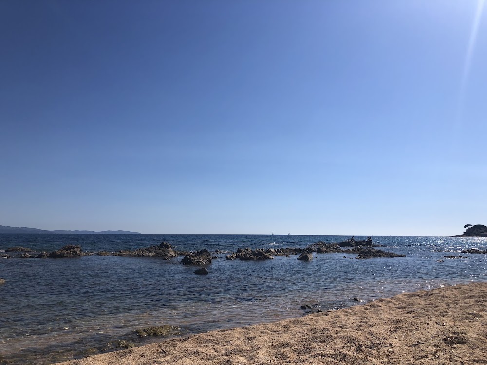 Plage Trottel