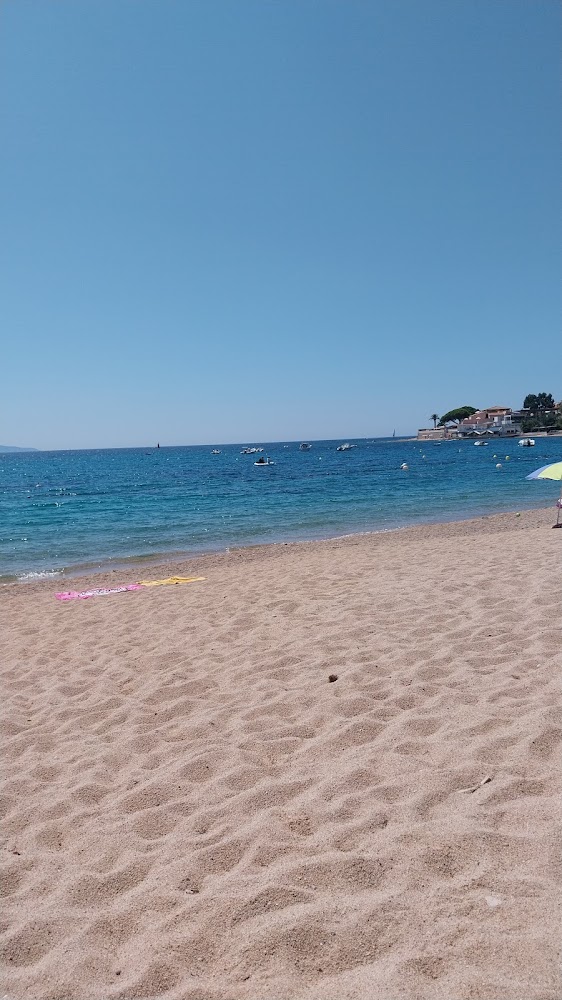 Plage Trottel