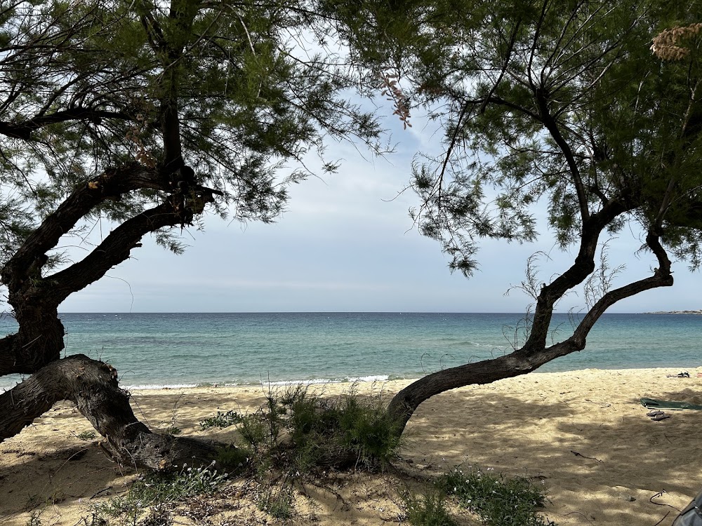 Plage d'Aregno