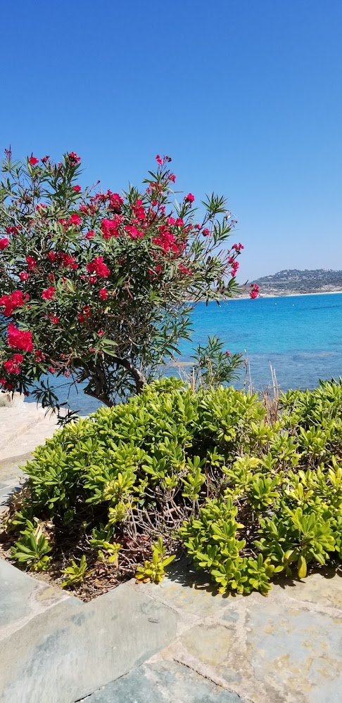 Plage d'Aregno