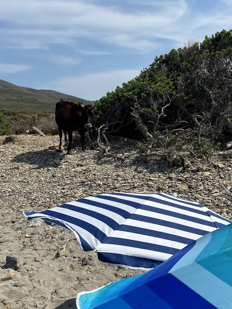 Plage de Barcaggio
