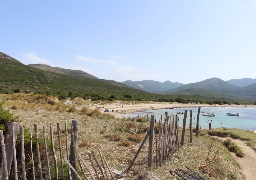 Plage de Barcaggio