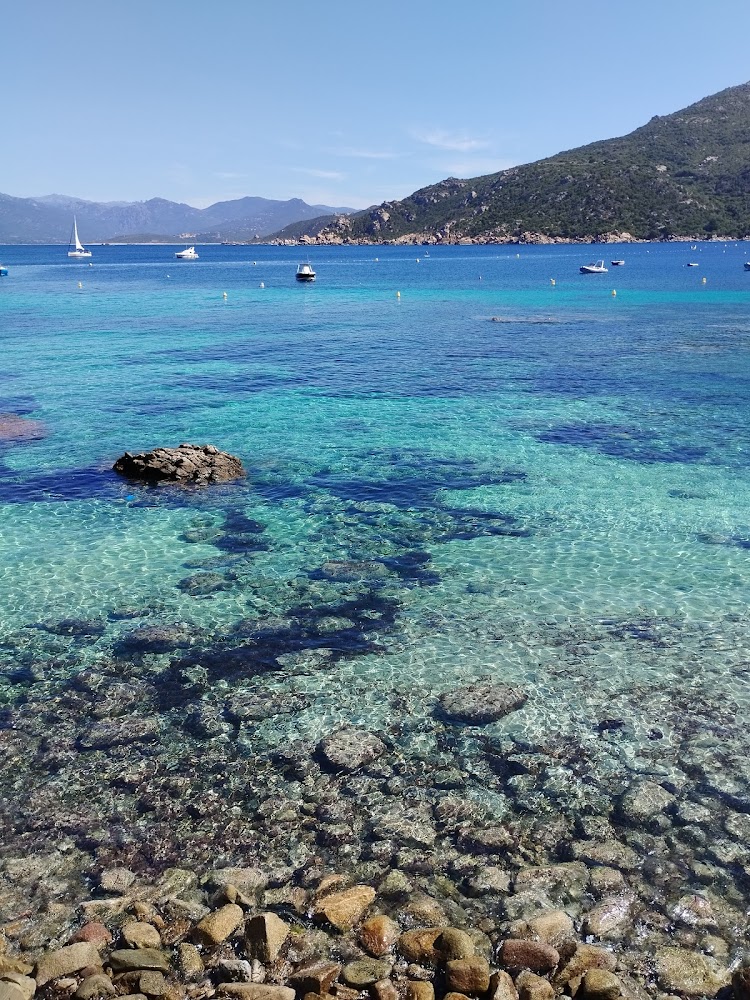 Plage de Campomoro