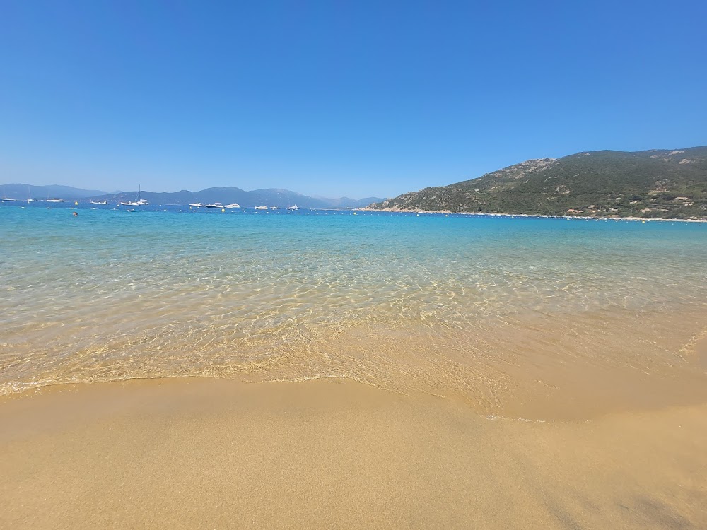Plage de Campomoro