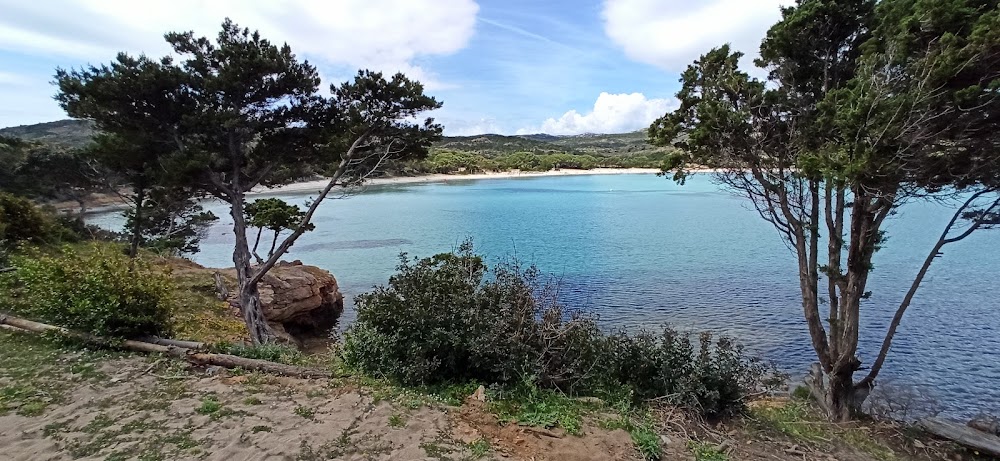 Plage de Rondinara