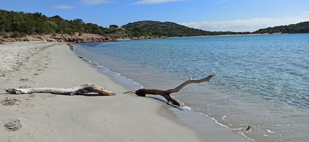 Plage de Rondinara