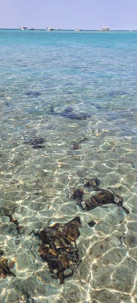 Plage du petit Sperone