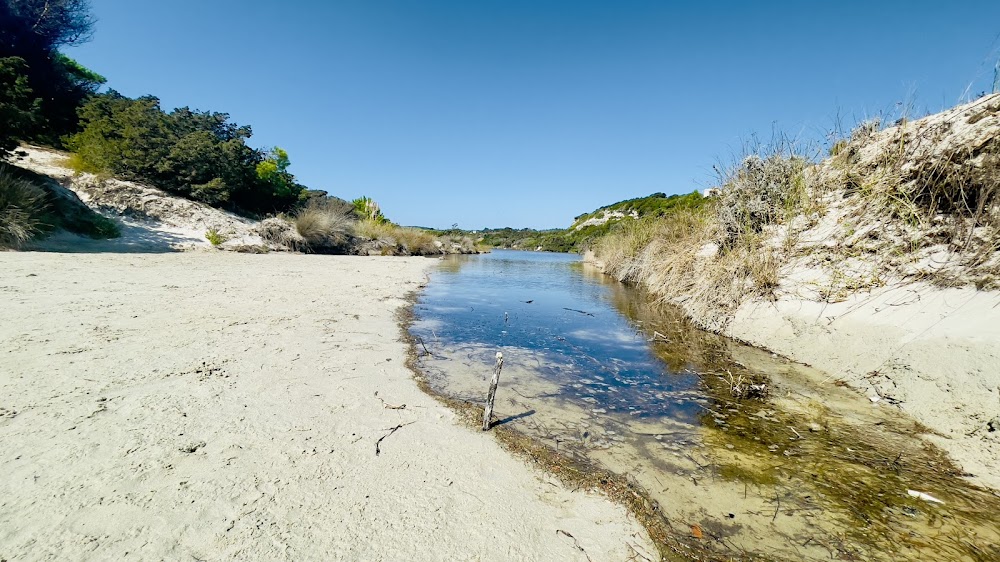 Plage du petit Sperone