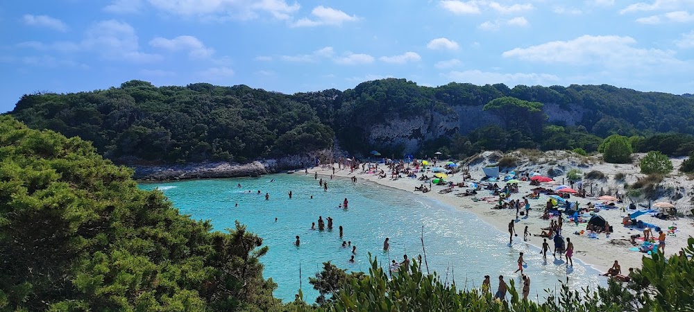 Plage du petit Sperone