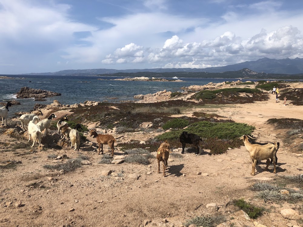 Plage de la Tonnara