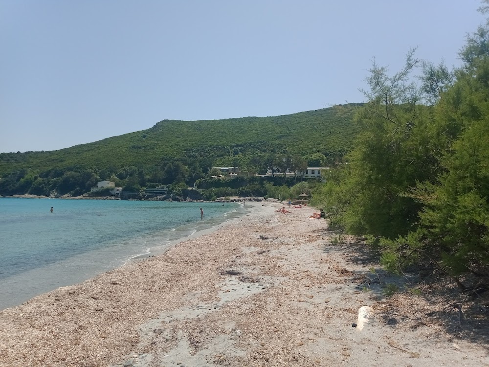 Plage de Misincu