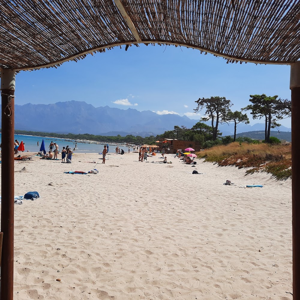 Plage de Calvi