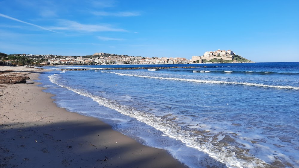 Plage de Calvi