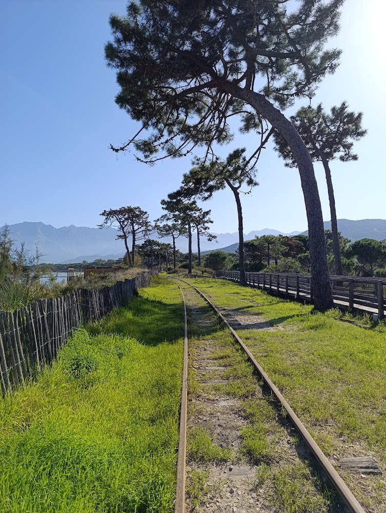 Plage de Calvi