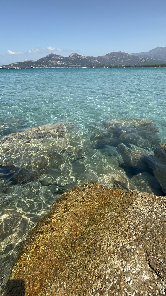 Plage de Calvi