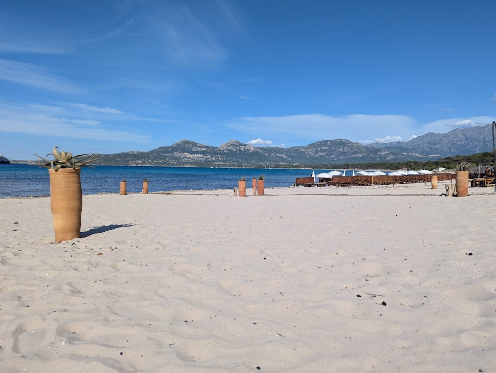 Plage de Calvi