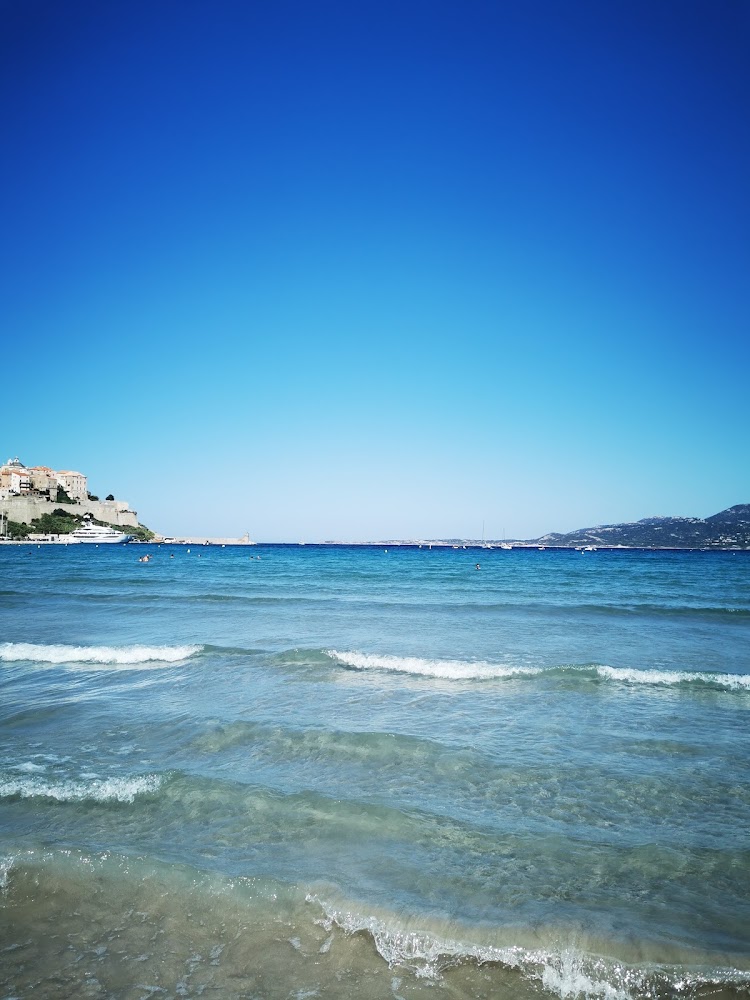 Plage de Calvi