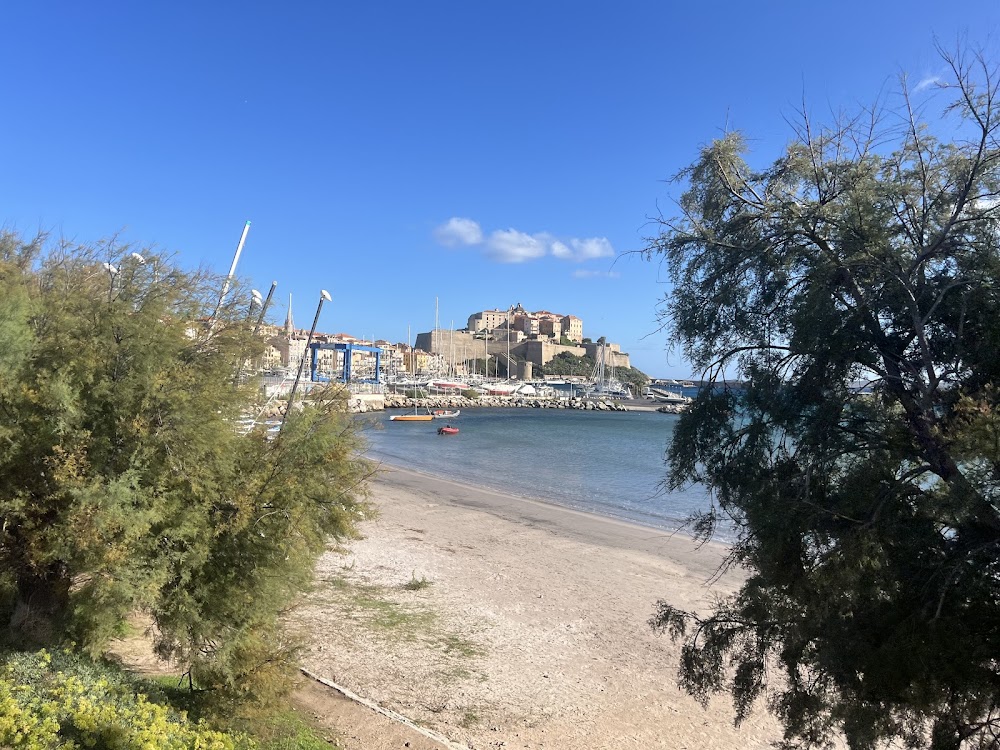 Plage de Calvi