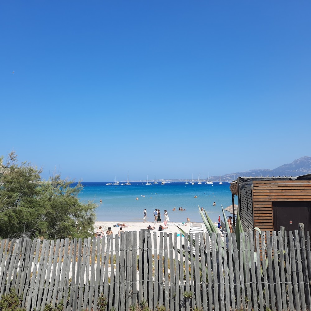 Plage de Calvi