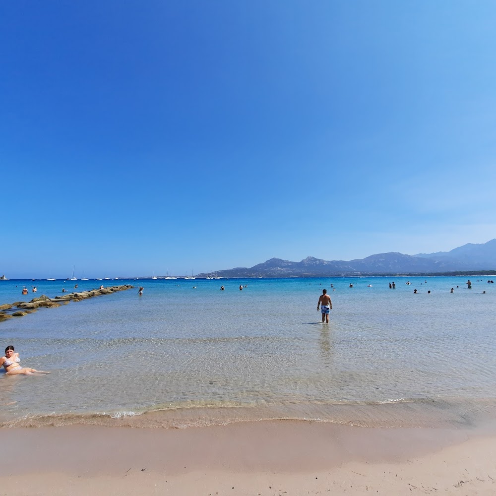 Plage de Calvi