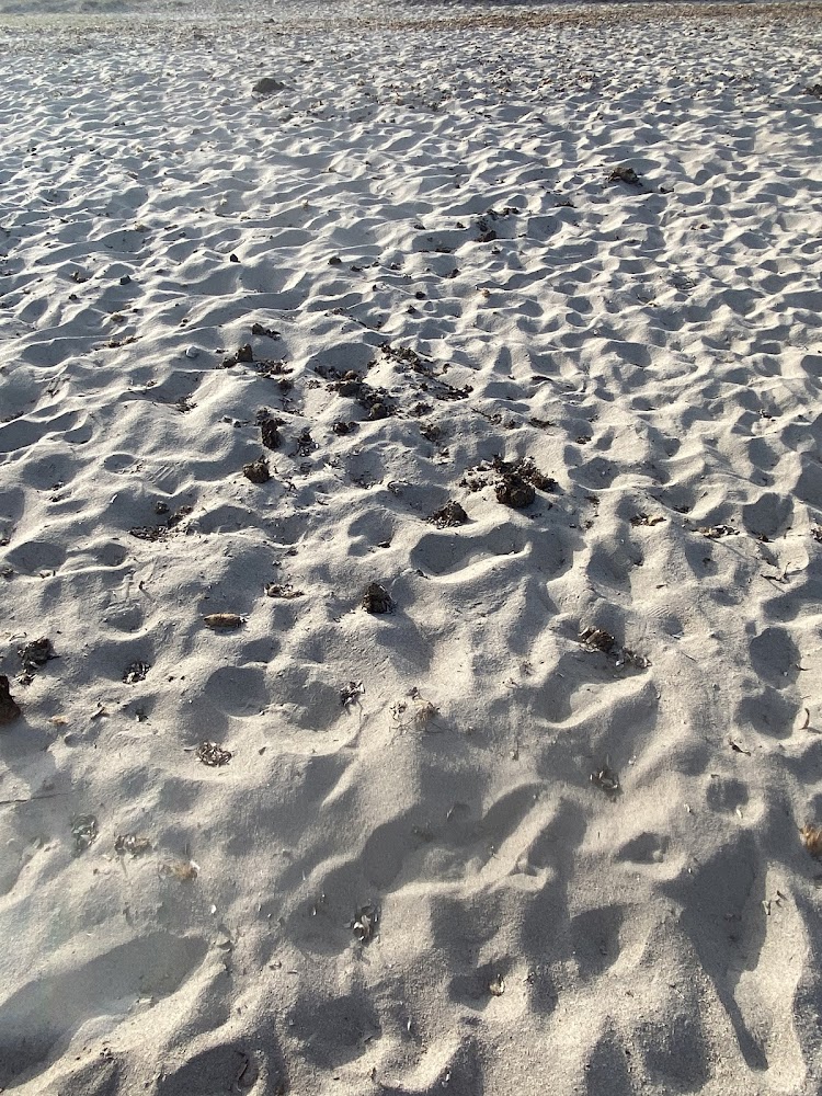 Plage de Chiuni