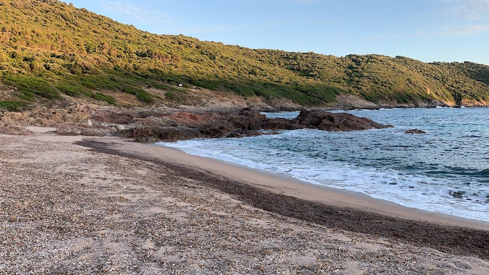 Plage de Chiuni