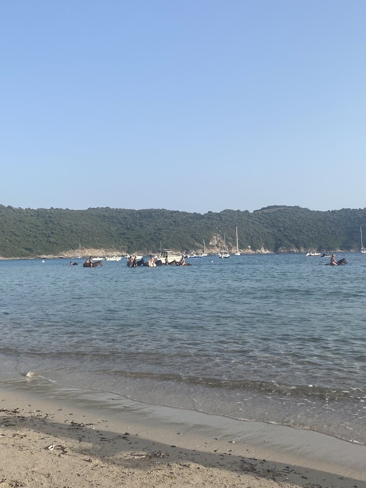 Plage de Chiuni