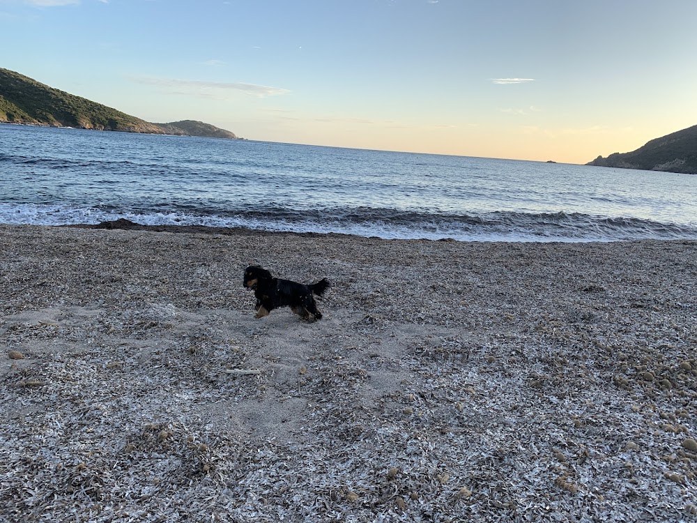 Plage de Chiuni