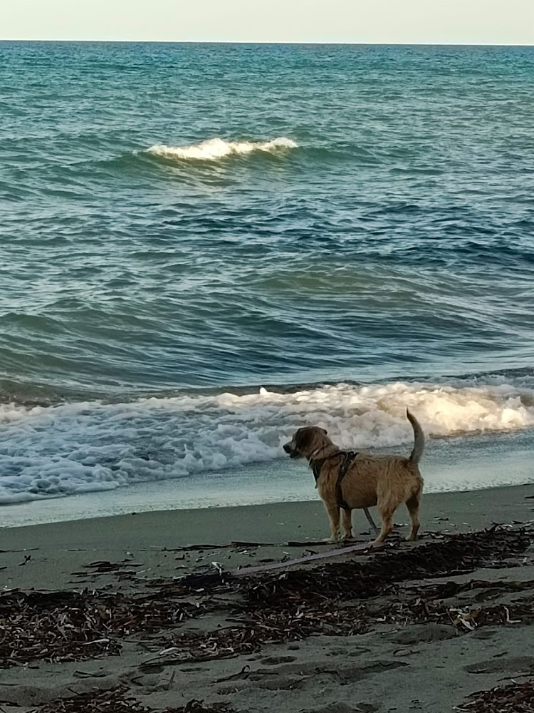 Plage de Prunete