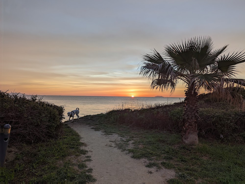 Plage de Prunete