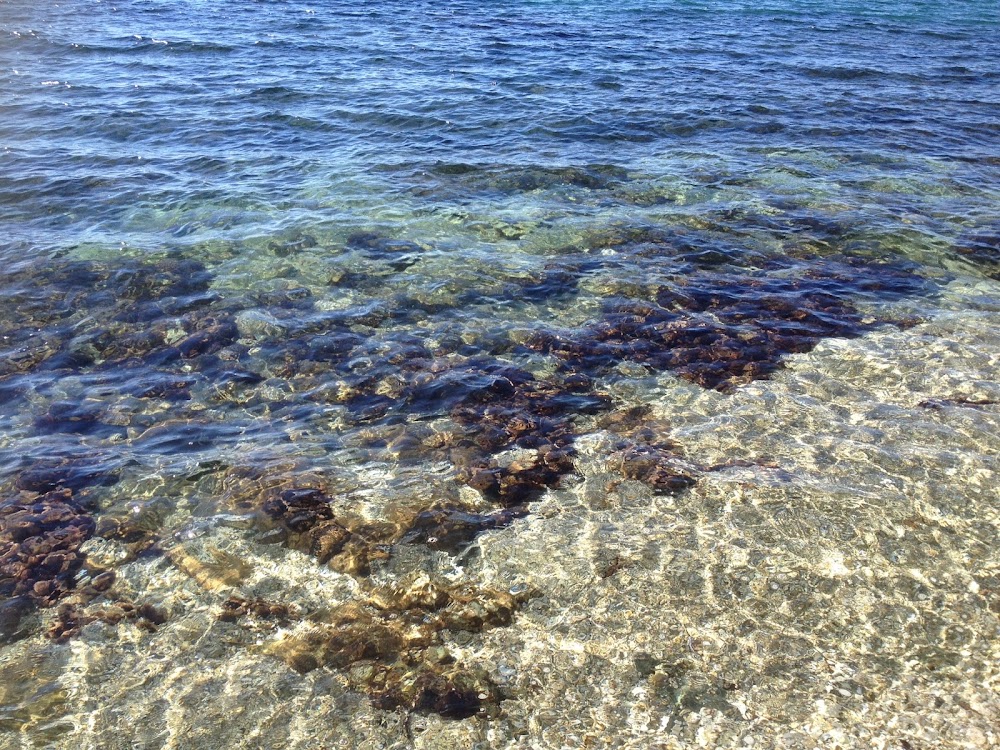 Plage de l’Almanarre