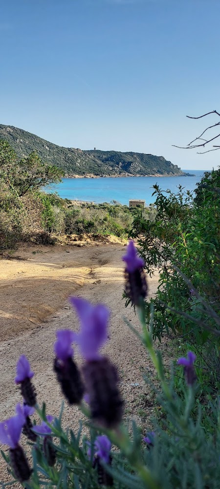 Plage de Cala d'Orzu