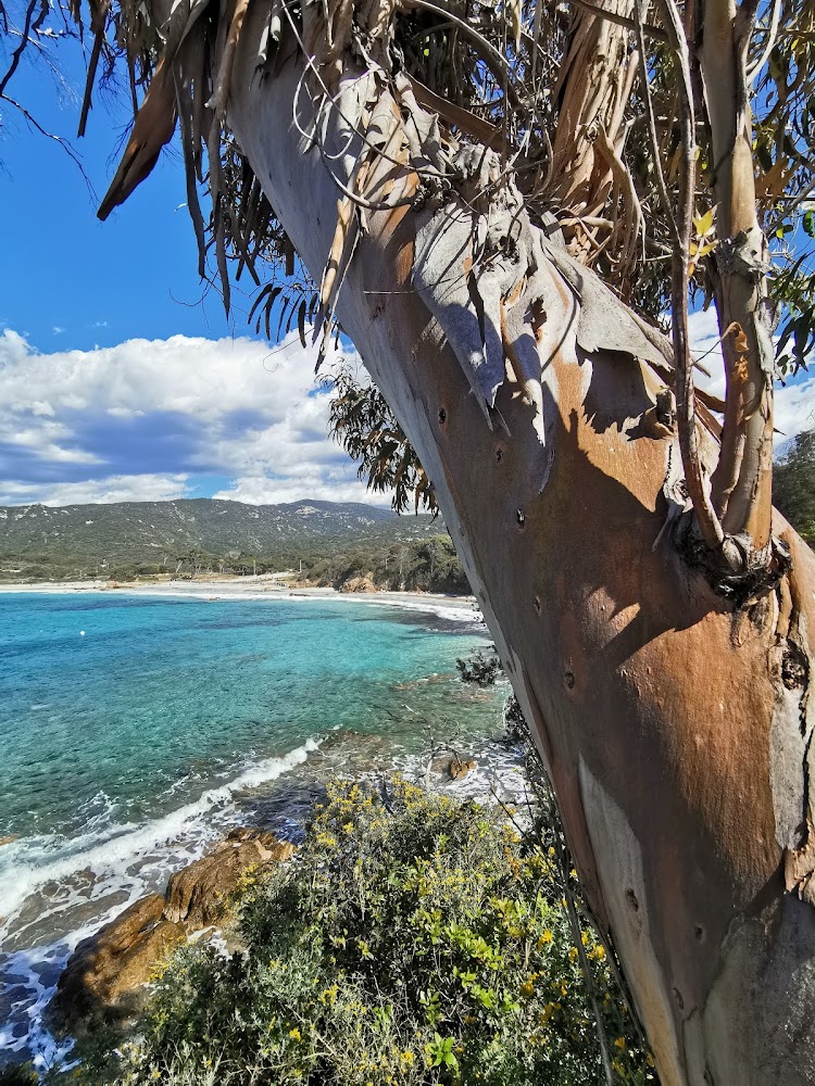 Plage de Verghia