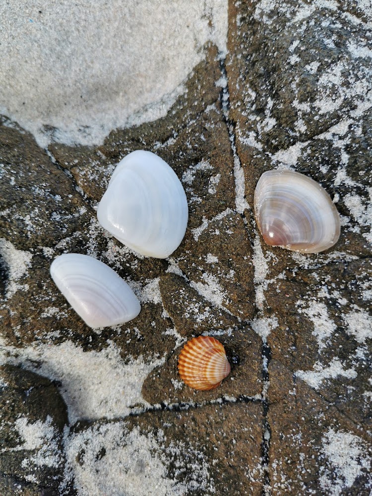 Plage de Verghia